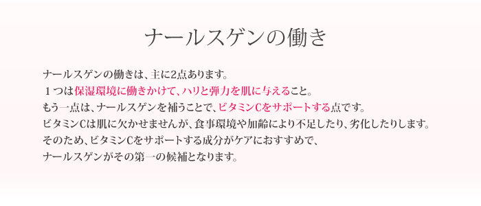 ナールスゲンの説明
