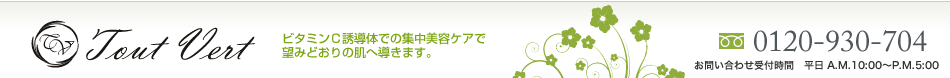 �r�^�~��C�U���̂̃g�D���F�[���iToutvert�j
