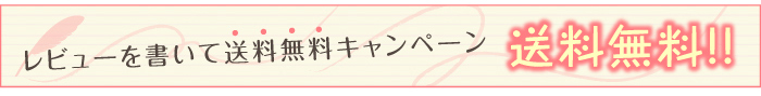 ミネラルパウダリーファンデーション送料無料