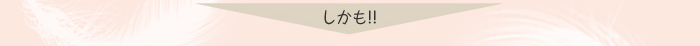 ミネラルパウダリーファンデーション