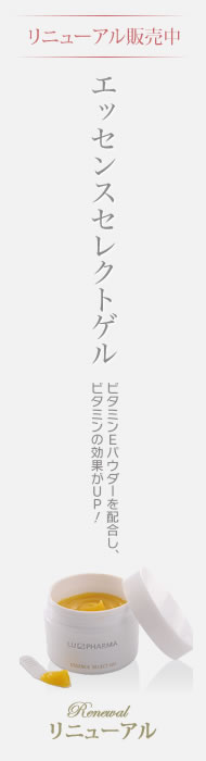 �G�b�Z���X�Z���N�g�Q��