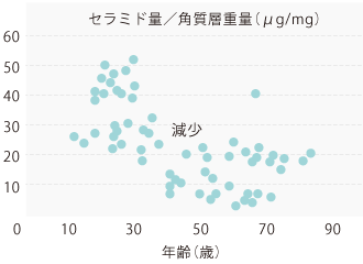 セラミド量／角質層重量