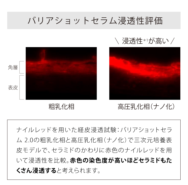 バリアショットセラム 2.0 | トゥヴェール