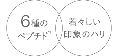 6種のペプチド*1 若々しい印象のハリ