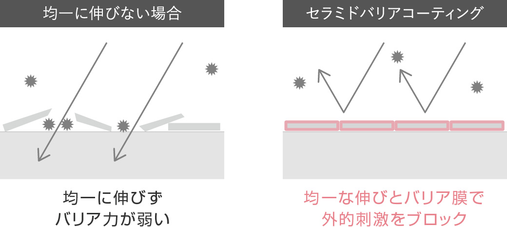 セラミドバリアコーティング2