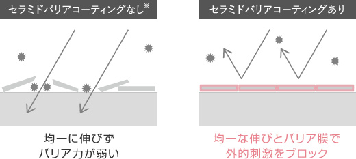 セラミドバリアコーティング2