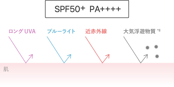 国内最高基準値※10 SPF50+ PA++++