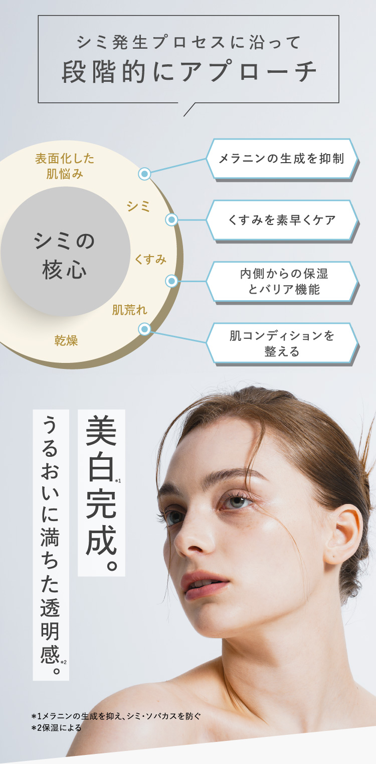 シミ発生プロセスに沿って段階的にアプローチ