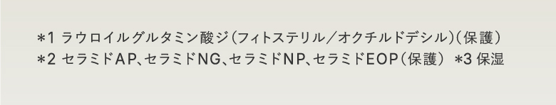 ＊1 ラウロイルグルタミン酸ジ（フィトステリル／オクチルドデシル）（保護）＊2 セラミドAP、セラミドNG、セラミドNP、セラミドEOP（保護）  ＊3 保湿　