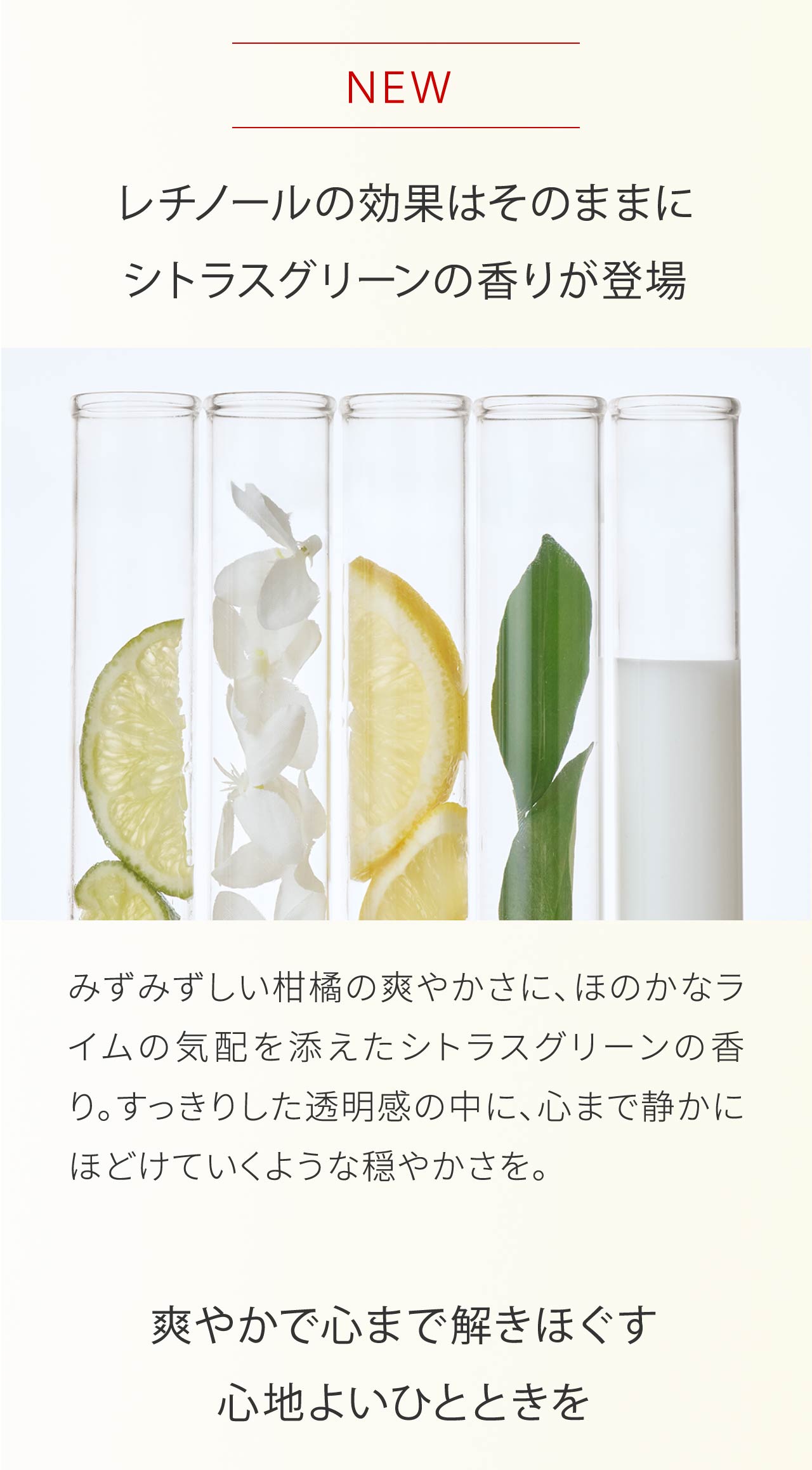 レチノールの効果はそのままにシトラスグリーンの香りが登場｜みずみずしい柑橘の爽やかさに、ほのかなライムの気配を添えたシトラスグリーンの香り。すっきりした透明感の中に、心まで静かにほどけていくような穏やかさを。