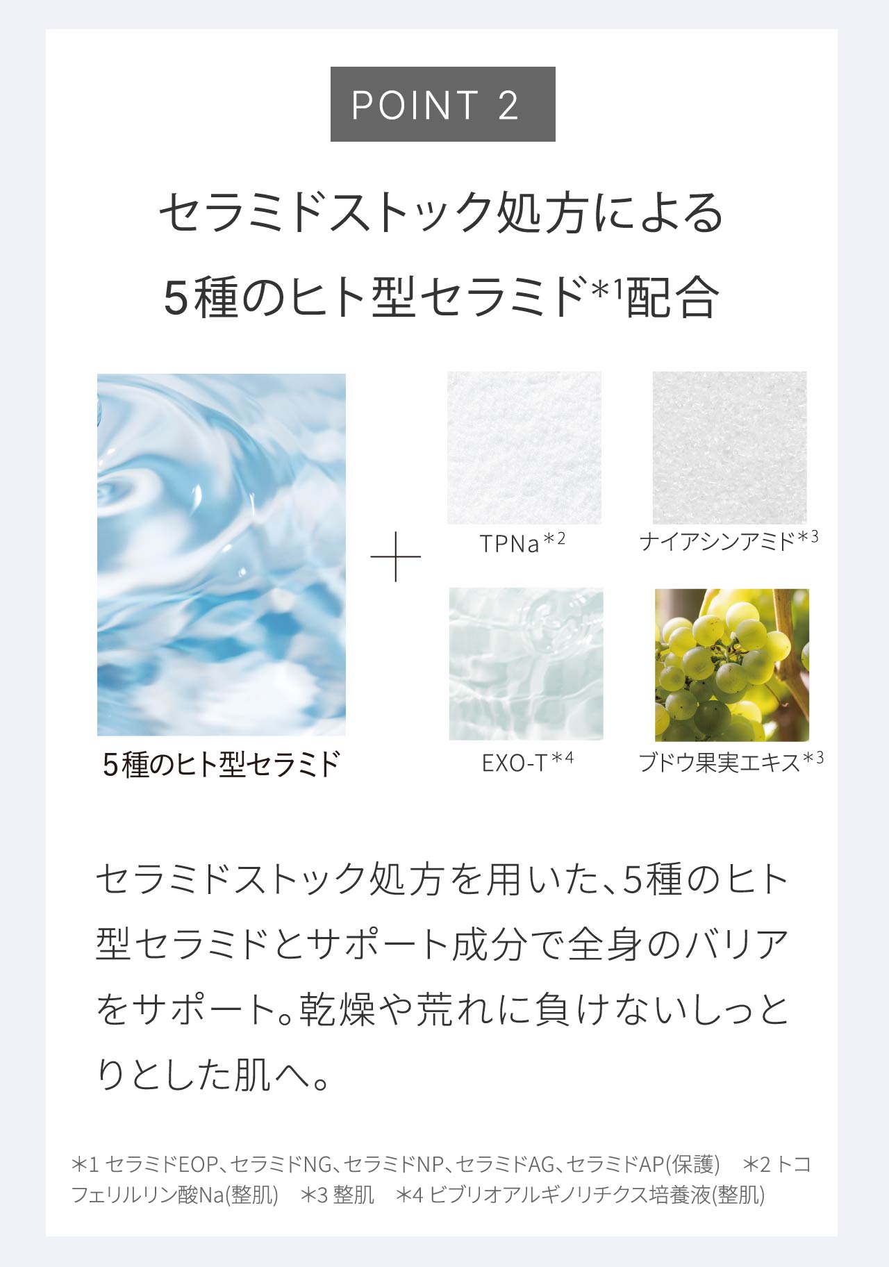 POINT 2 セラミドストック処方による5種のヒト型セラミド＊1配合｜セラミドストック処方を用いた、5種のヒト型セラミドとサポート成分で全身のバリアをサポート。乾燥や荒れに負けないしっとりとした肌へ。